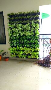 Indoor vertical garden services