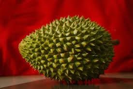Fresh Durian Fruit