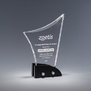 Acrylic Transparent Trophy