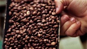 Monsoon Malabar Roasted Coffee Beans