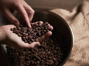 Robusta A Grade Roasted Coffee Beans
