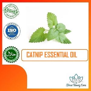 Catnip Essential oil
