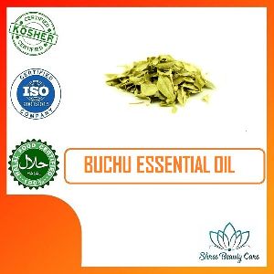 Buchu Essential Oil