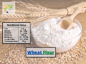 Wheat &amp;amp; Wheat Flour