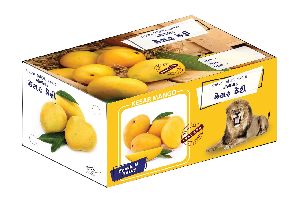 Mango Packaging Box-10 Kg