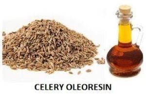 Celery Oleoresin