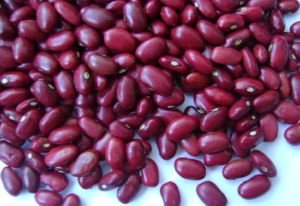KIDNEY BEAN