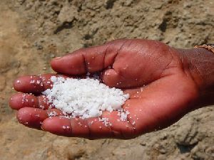 Salt Manufacturing Project Consultancy
