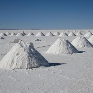 Organic Natural Rock White Salt Powder (Non Iodised)