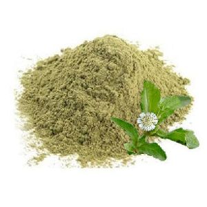 Bhringraj Extract Powder