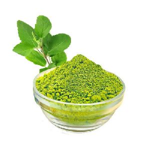 Tulsi Extract Powder