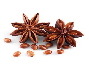 star anise seeds