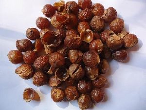 soapnut shells