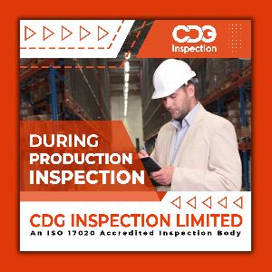 During Production Inspection Services