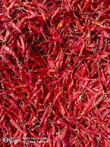 Teja dry red chilli