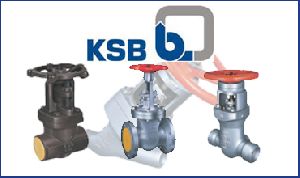 KSB pressure seal gate & globe valve 150#300#600#900#1500#2500#