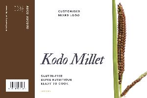 Kodo millet grain unprocessed