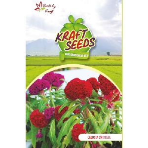 Celosia Cristata Mix Flower Seeds