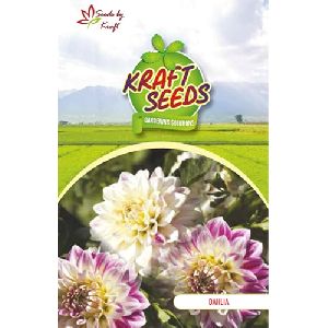 Dahlia Top Star Mix Flower Seeds