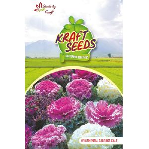 Kale  Mix Flower Seeds