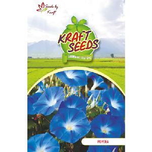 IPOMEA MORNING GLORY SEEDS