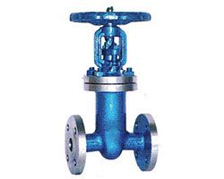 Bellow Sealed Gate Valves Content