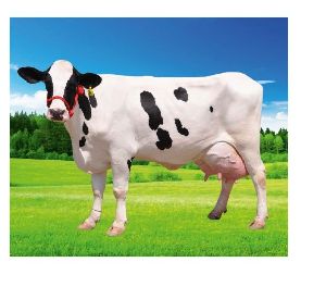 super rehydrate cattle feed supplement