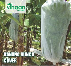 Banana Bunch Cover