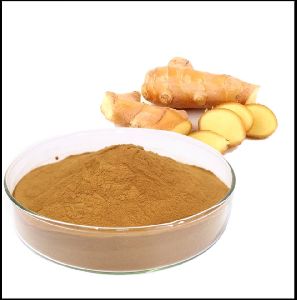 Freeze Dried Ginger Powder