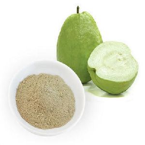 Freeze Dried Guava Powder