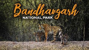 Bandhavgarh National Park Tour Packages