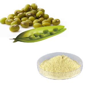 Mung Bean Protein Isolate