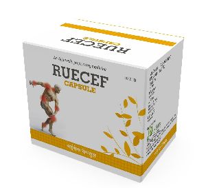 Anti Rheumatic & Anti Arthritic Capsules