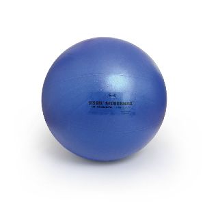 Exercise Balls - SISSEL Securemax Exercise Ball Professional 55 Cm. (Blue) - Pushpanjali medi India