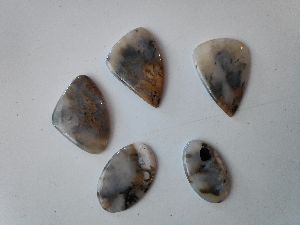 Natural Dendride Tiger Stones