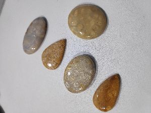 Natural Fossil Coral cabochons gemstone