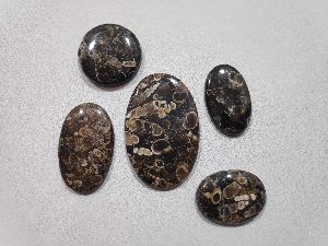 Natural turtela cabochon gemstone