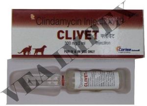 CLIVET 300MG/2ML
