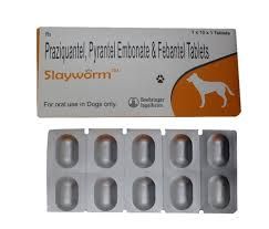 Slayworm(Praziquantel Pyrantel Embonate & Febantel) Tablets