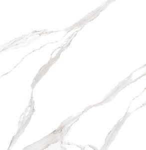 1200 X 1200 Mm Statuario Classic High Gloss Tiles