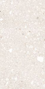 600x1200 Mm Oyster Crema Glossy Tiles