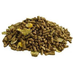 Breeding Rabbit Feed