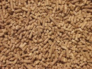 Camel Breeder Feed