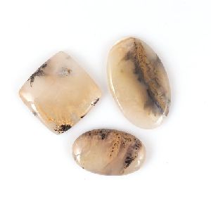 Tiger Dendrite Stone