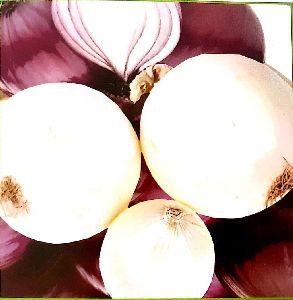 Onions