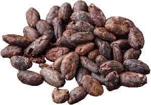 Cocoa Beans