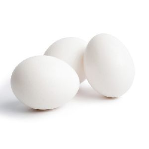 Fresh White Eggs