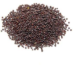 mustard seeds