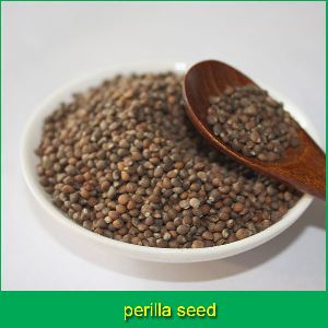 Perilla Seed
