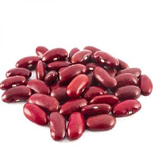 Premium Quality Red Kidney Beans
